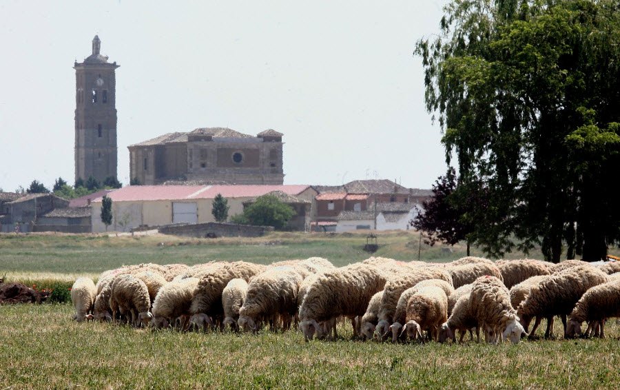 Autillo de Campos, Spain, Spain